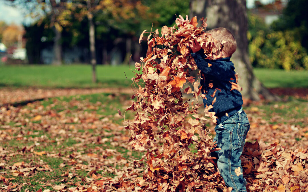 Home Schooling And Home Learning – Is There A Difference?